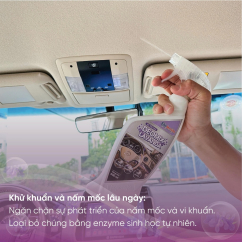 KHỬ MÙI NỘI THẤT Ô TÔ 