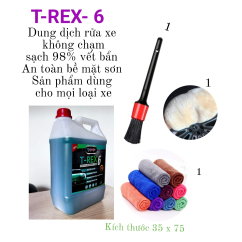 Không chạm trex-6
